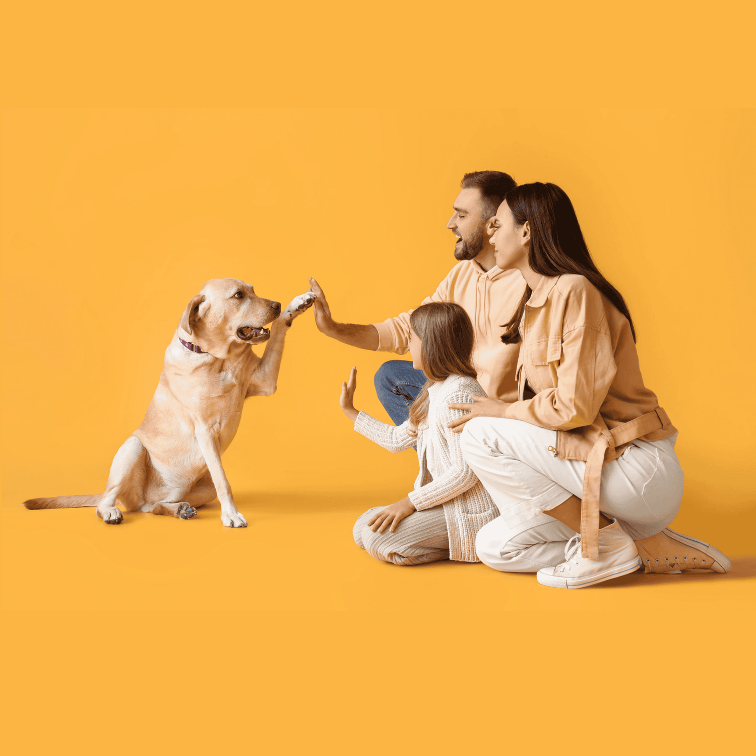 Gifts for Pet Lovers